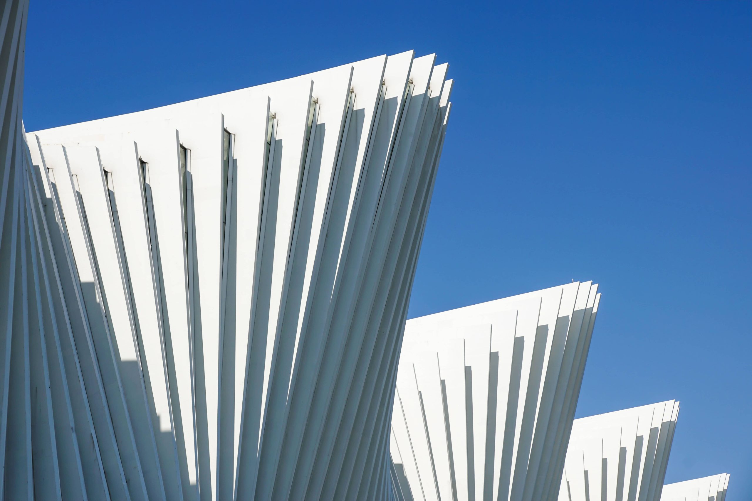 What Is an offshore company and how does It differ from a free zone or mainland entity?