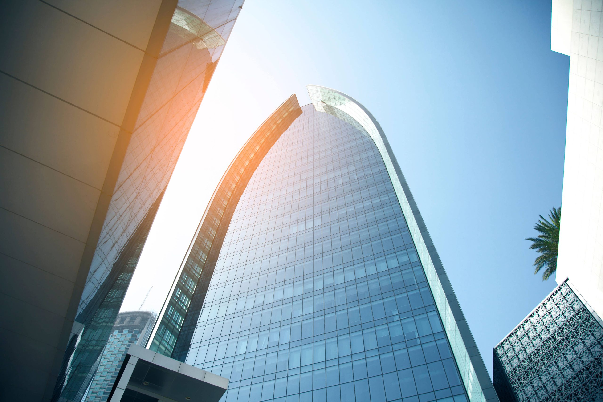 What are the types of wills in the UAE?